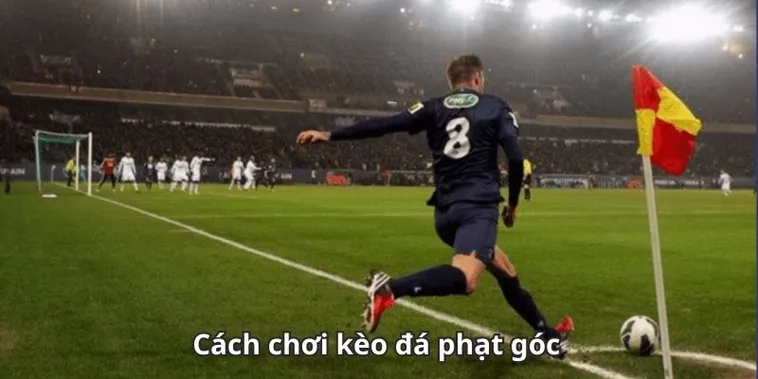 Cách chơi kèo phạt góc bóng đá chi tiết và chiến thuật tăng tỷ lệ thắng