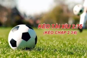 Cách Chơi Kèo 2.75 Chi Tiết Nhất Kèm Mẹo Đặt Cược Chuẩn Cho Người Mới