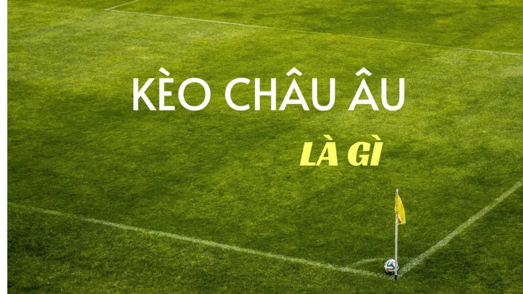 Cách Chơi Kèo Châu Âu Hiệu Quả Cho Người Mới Và Kinh Nghiệm Cược Thủ