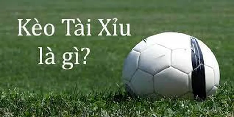 Hướng Dẫn Cách Chơi Kèo Tài Xỉu Hiệu Quả Cho Người Mới Bắt Đầu