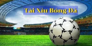 Hướng Dẫn Cách Chơi Kèo Tài Xỉu Bóng Đá Chuẩn Xác Cho Người Mới Bắt Đầu
