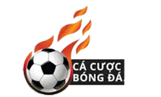 Trang Cá Cược Bóng Đá