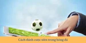 Cách Chơi Kèo Xiên Trong Bóng Đá Chuẩn Xác Và Hiệu Quả Cho Người Mới